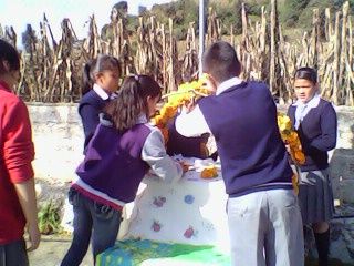 Sin Nombre