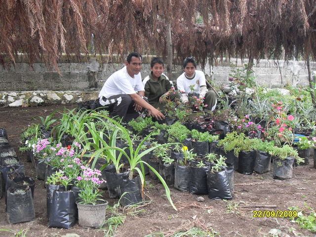 ALUMNOS TRABAJANDO