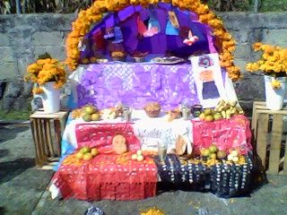 Sin Nombre