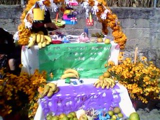 Sin Nombre