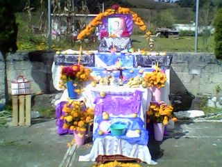 Sin Nombre